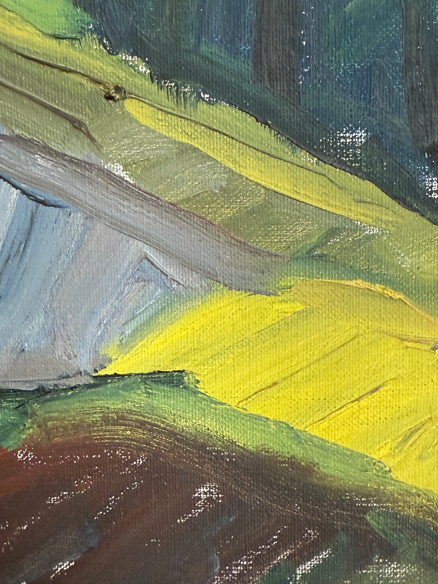 Sunny Hills