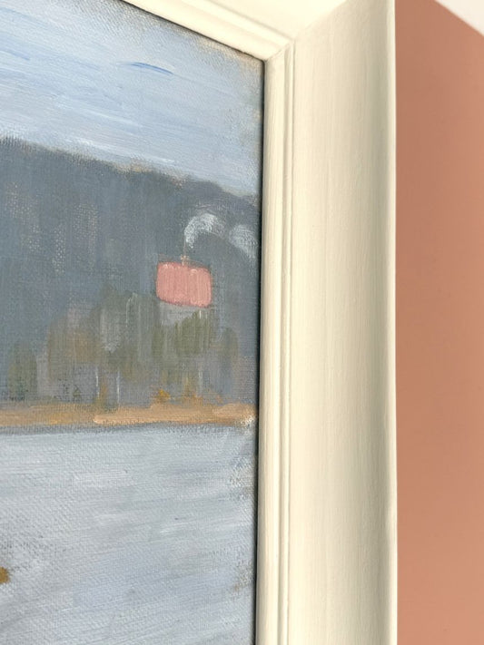 The Pink House